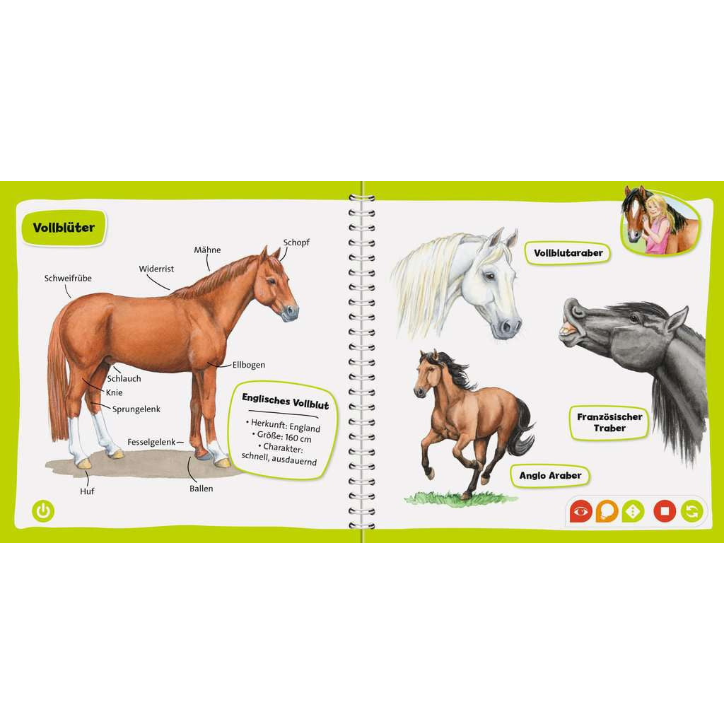 Ravensburger | tiptoi® Pferde und Ponys