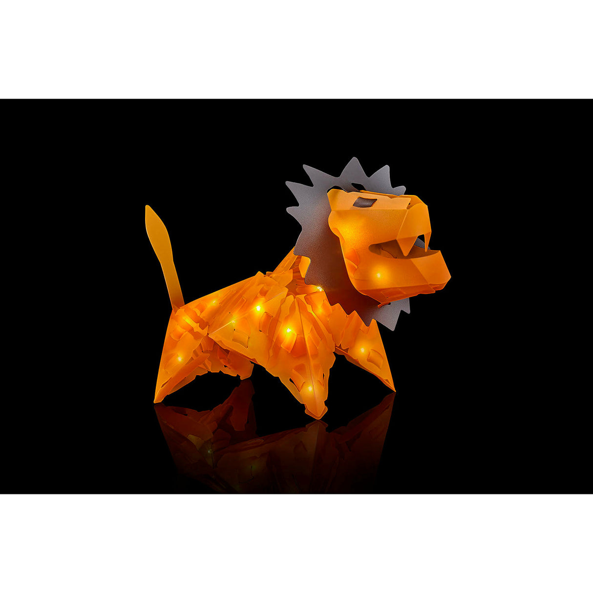 KOSMOS | Creatto Löwe / Safari