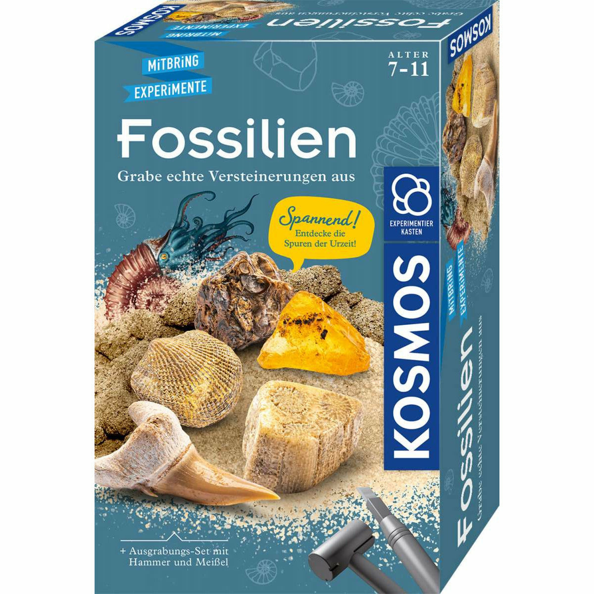 KOSMOS | Fossilien