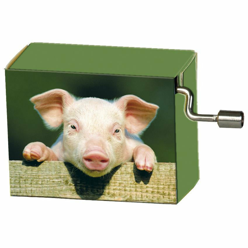 Spieluhr | Happy Birthday | Tierkinder | Schweinchen auf Zaun