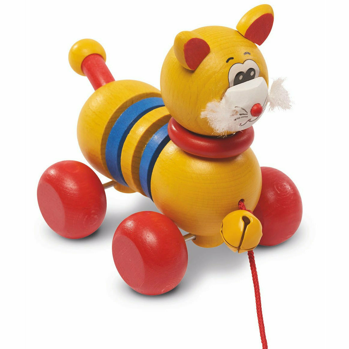 Walter | Katze