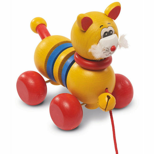 Walter | Katze