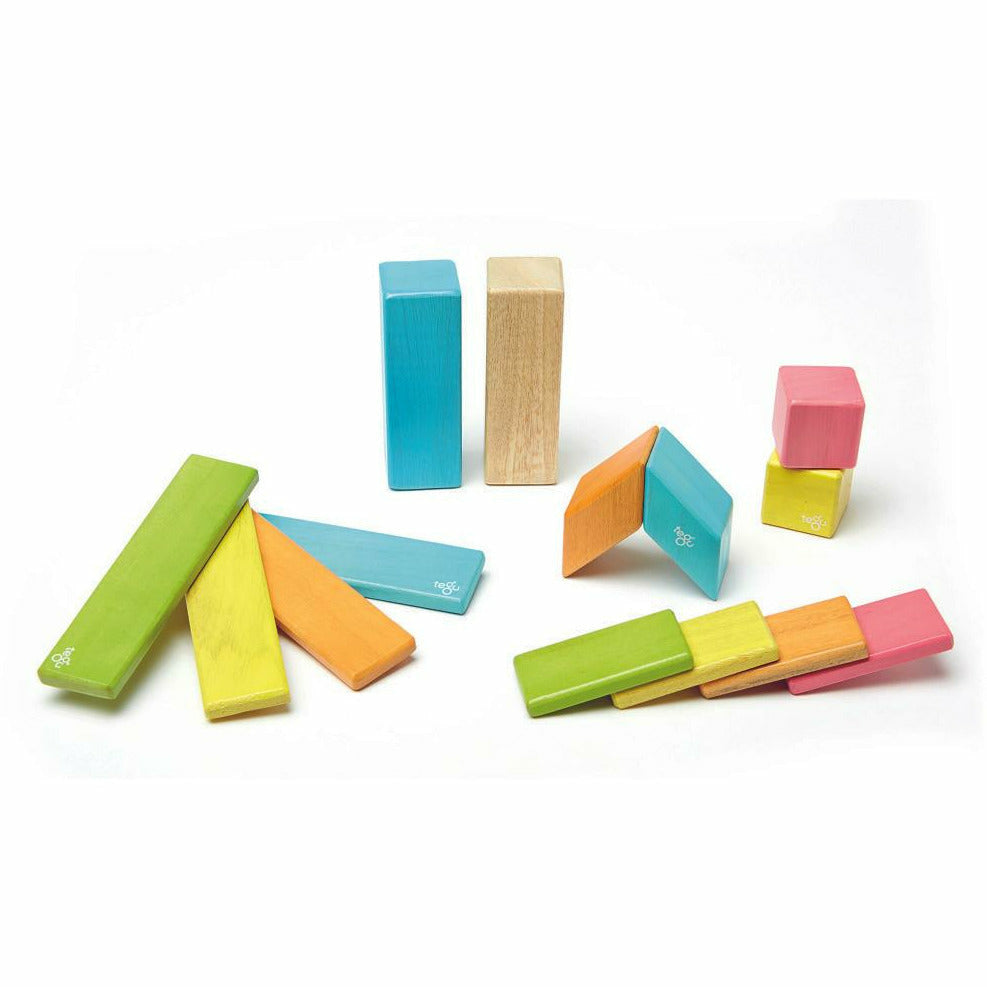 14 Magnetische Holzbausteine bunt