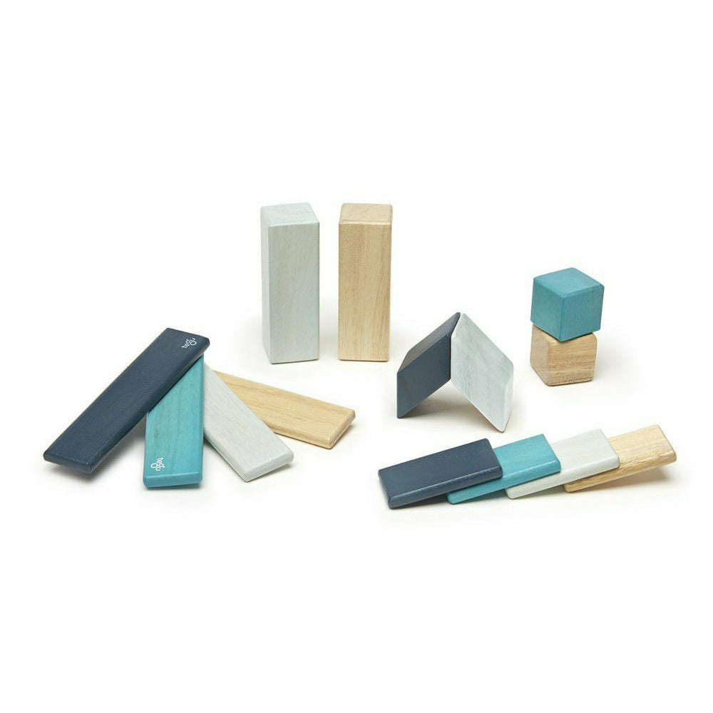 14 Magnetische Holzbausteine blau