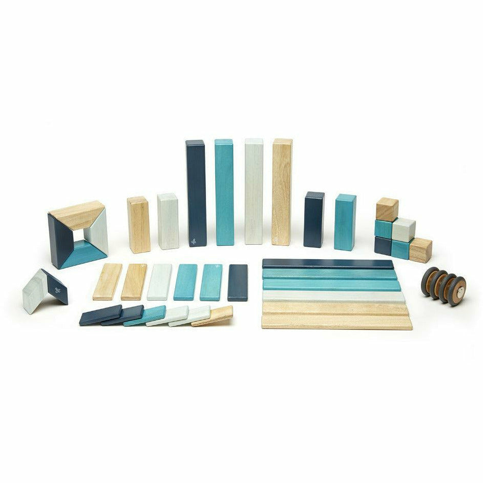 42 Magnetische Holzbausteine blau