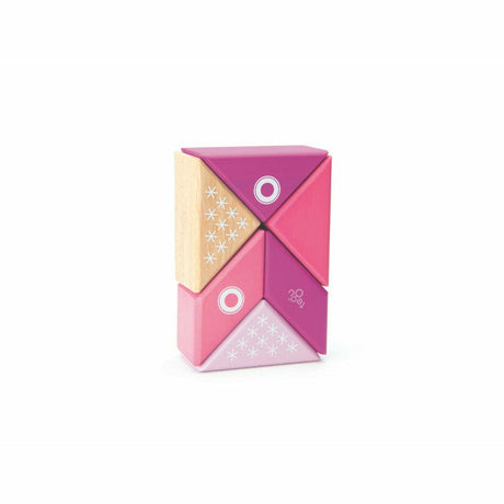 6 Magnetische Holzbausteine Katze