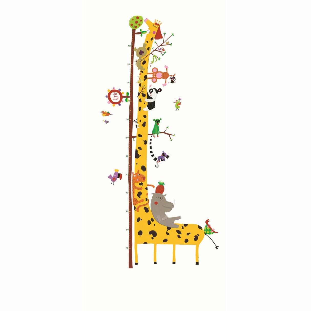 Djeco | Wandsticker Messlatte: Friends of the Amazon
