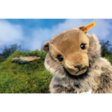 Steiff® | Burri Murmeltier | 26 cm