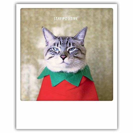 Postkarte | stay positive