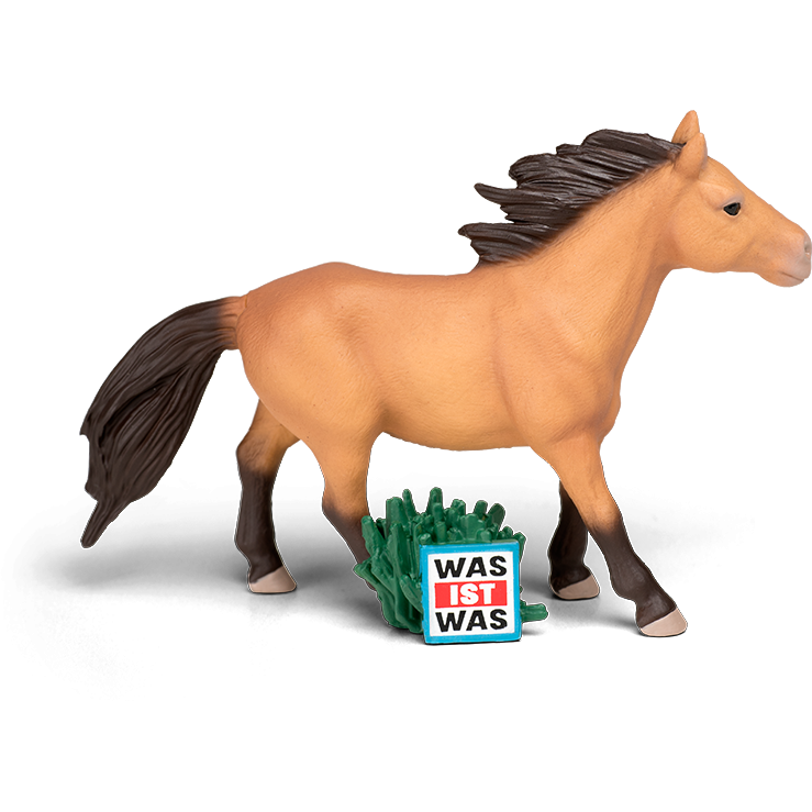 Tonie | WAS IST WAS - Wunderbare Pferde/Reitervolk Mongolen