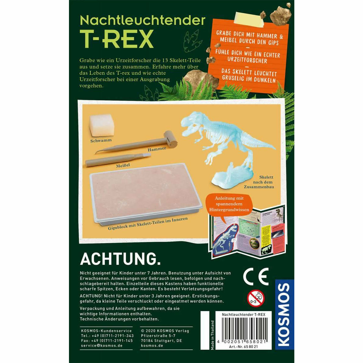 KOSMOS | Nachtleuchtender T-REX
