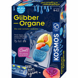 Fun Science Glibber-Organe
